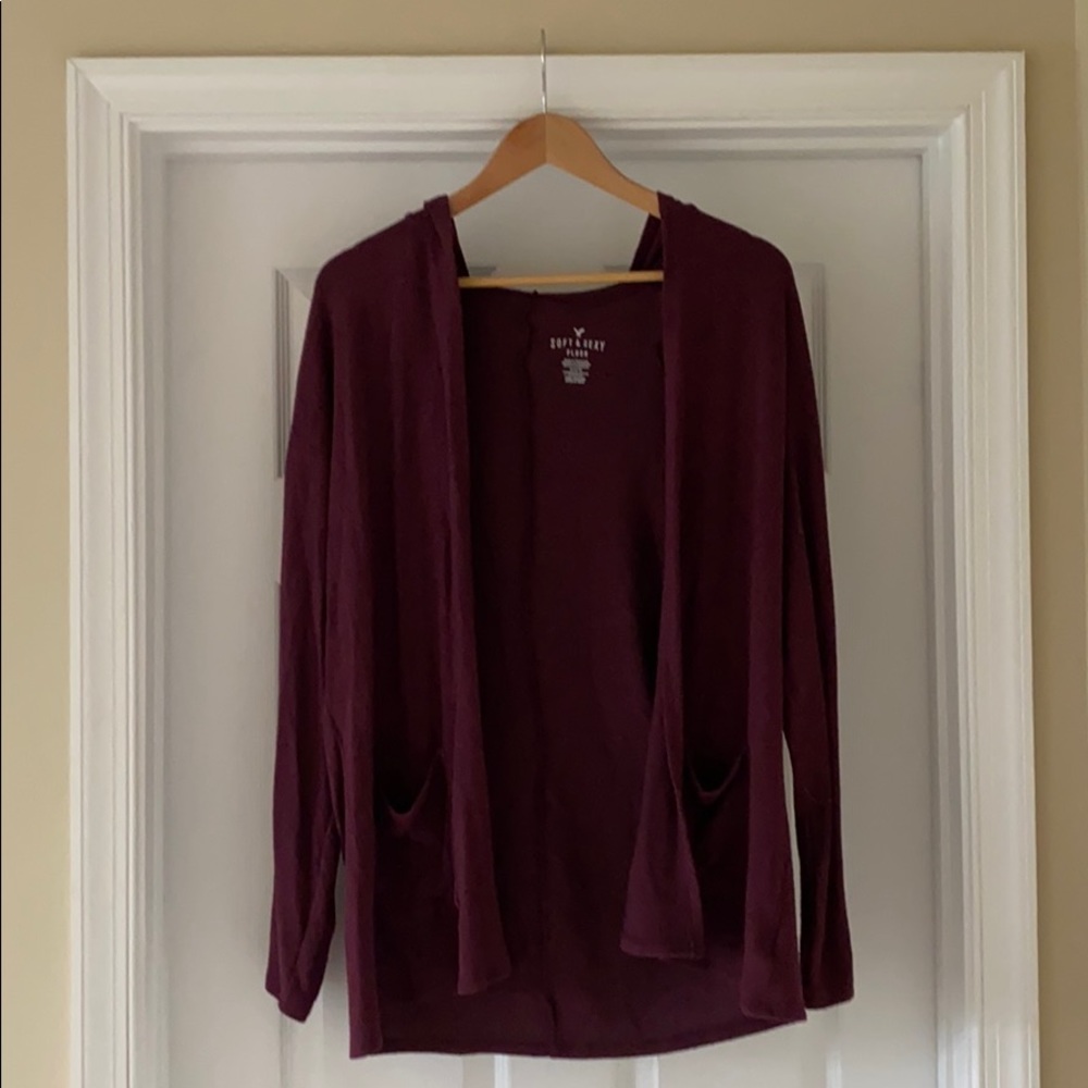 American Eagle Outfitters Hooded Plush Cardigan